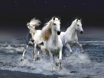 Beautiful Wallpaper Wild Horses