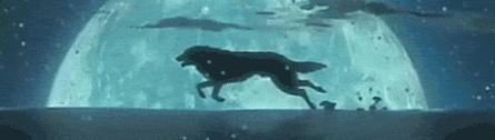 Running Wolf S Rain Wolves Photo