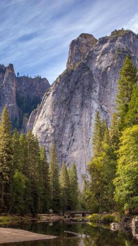 Mountain Trees Wallpaper iPhone Android Desktop Background