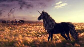 Unicorn Garden Mac Wallpaper