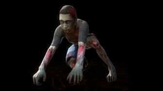 Days To Die HD Wallpaper Background Image Id