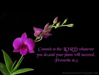 Christian Bible Verse Proverbs Wallpaper Full HD