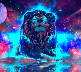 Lion Laptop Wallpaper