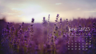 And Customizable Summer Desktop Wallpaper Templates
