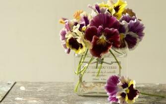 Composition Flowers Roses Vase Gerbera HD Wallpaper