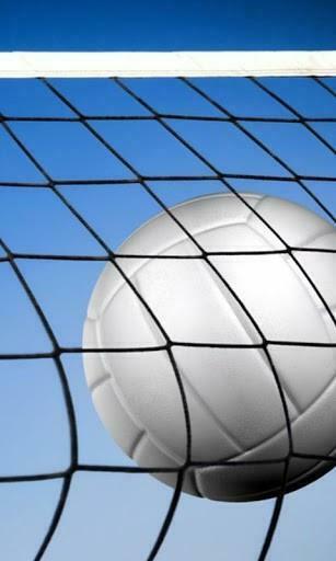Volleyball Sport Wallpaper And Theme Application Is A Team