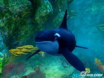 Shamu Wallpaper Weddingdressin