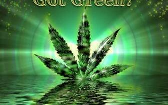 Giant Bright Weed Leaf HD Wallpaper