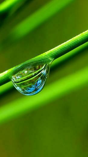 Stemwaterdropsamsungwallpaper