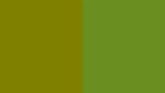Olive Drab Number Three Two Color Background Jpg