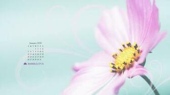 Desktop Wallpaper Archives Amber Lotus Publishing