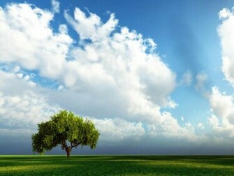 Fantasy Nature Wallpaper Desktop