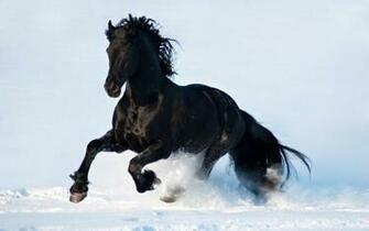 Wallpaper HD Background Screensavers 1920p