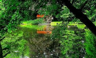 3d Nature Wallpaper Desktop For Windows Background