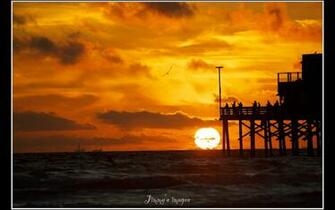 Newport Beach Wallpaper Weddingdressin