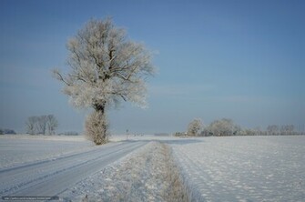 Winter Wonderland Desktop Wallpaper High Definition