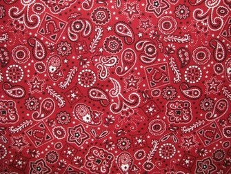 Back Gallery For Red Paisley Bandana Background