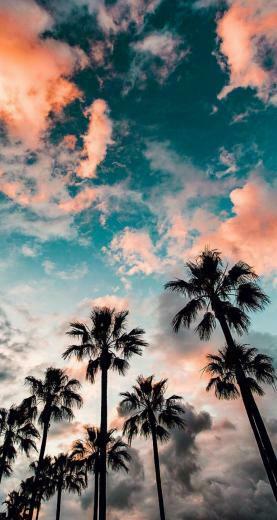 Long Beach California The iPhone Wallpaper