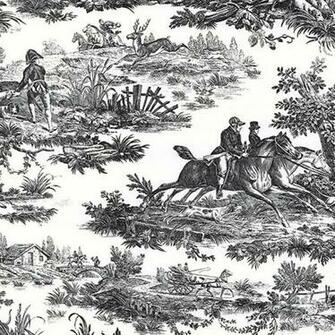 Black And White Toile Wallpaper Border