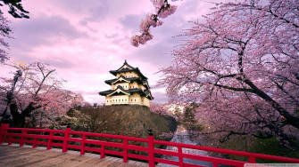 A Cool Japanese Tree Beside Pagoda Wallpaper