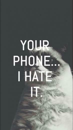 Background Grumpy Cat Inspiring Quotes Phone Wallpaper