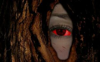 Evil Eyes Wallpaper HD