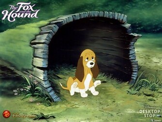 The Fox And Hound Wallpaper