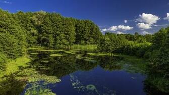 Poltava Ukraine Widescreen Wallpaper Wide Net
