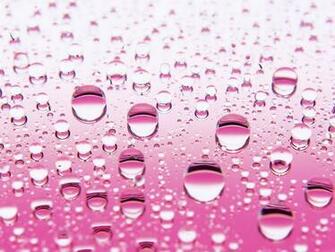 Pink Bubble HD Background Net