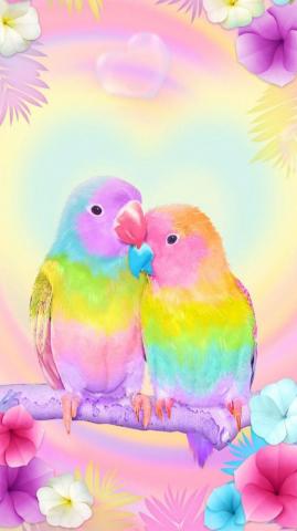 3d Cute Colorful Lovebirds Parrot Gravity Theme Install On