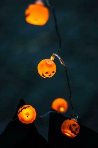 Vibe Moody Photography And Macro HD Photo By Kristina