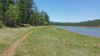 Best Trails In Buckskinner Park Arizona Alltrails