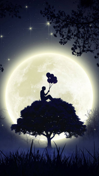 Boy Shadow Framed By Foliage Wallpaper