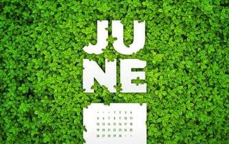 June Desktop Calendar Wallpaper Paper Leaf