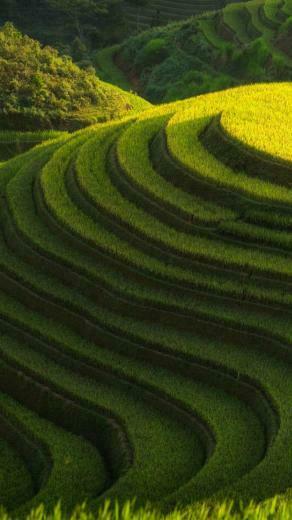 Green Nature Field Mountain iPhone Wallpaper Best