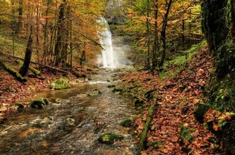Waterfall River Fall Forest Trees Nature Autumn Wallpaper