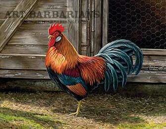 Of Roosters Crowing And Chickens Image Eggs Wallpaper