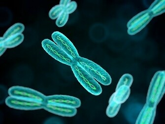 Chromosome Dna Pattern Genetic D Psychedelic Wallpaper