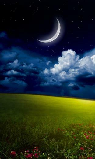 Windows Phone Wallpaper Daily Mobile