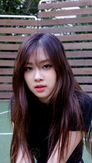 Rose Black Pink Hashtag Image On Gramunion