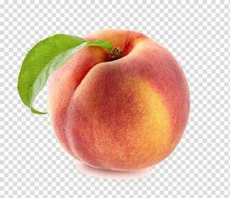 Nectarine Peach Peaches Transparent Background Png Clipart