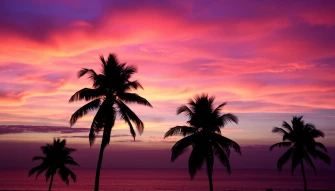 Sunset Wallpaper