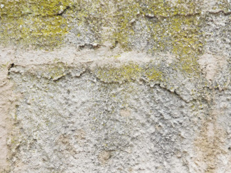 Stone Texture D51nt83e9k45x4xd Wallpaper