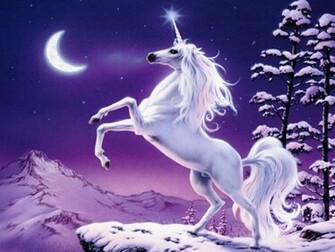 31st Chi A Bunch Of Pictures Unicorns