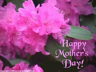 Mother S Day Wallpaper From Billy Bear