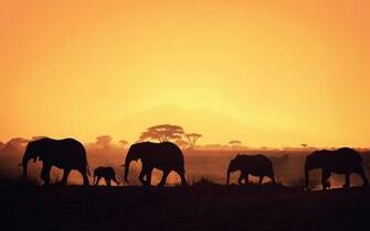 HD Africa Wallpaper For Desktop And Mobile