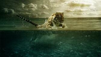 Tiger Wallpaper Widescreen