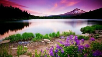 Nature Wallpaper HD Landscape Pictures One