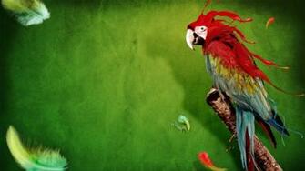 Green Parrot Clipart HD Wallpaper Background Image