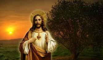 Sacred Heart Of Jesus Wallpaper The Sacredheart Wallpaperfor